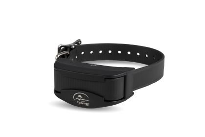 SportDOG Brand In